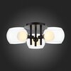 Светильник потолочный ST Luce Elleto SL1483.402.03