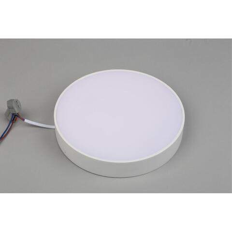 Потолочный светодиодный светильник Aployt Evon APL.0113.09.24