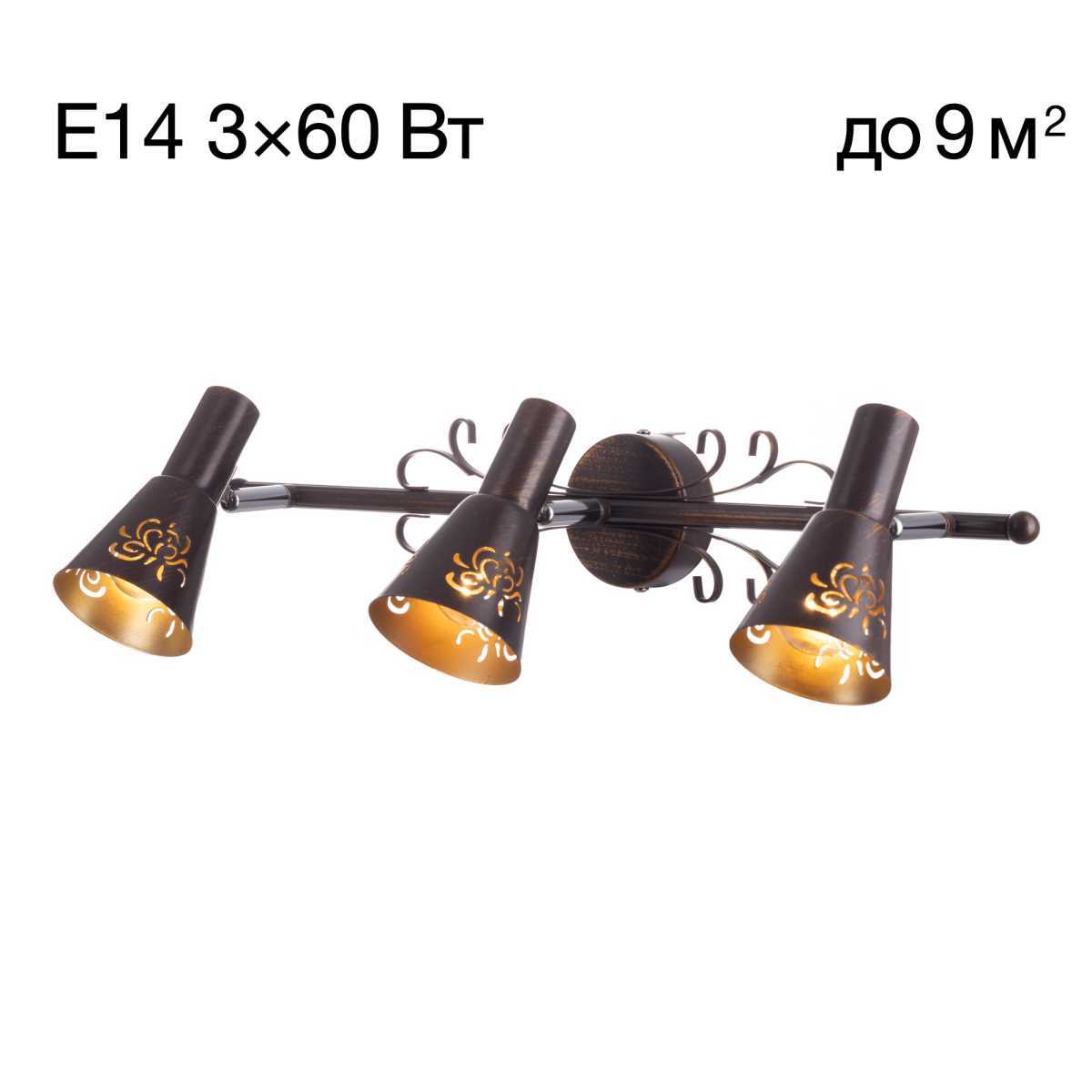 Спот Citilux Дункан CL529531