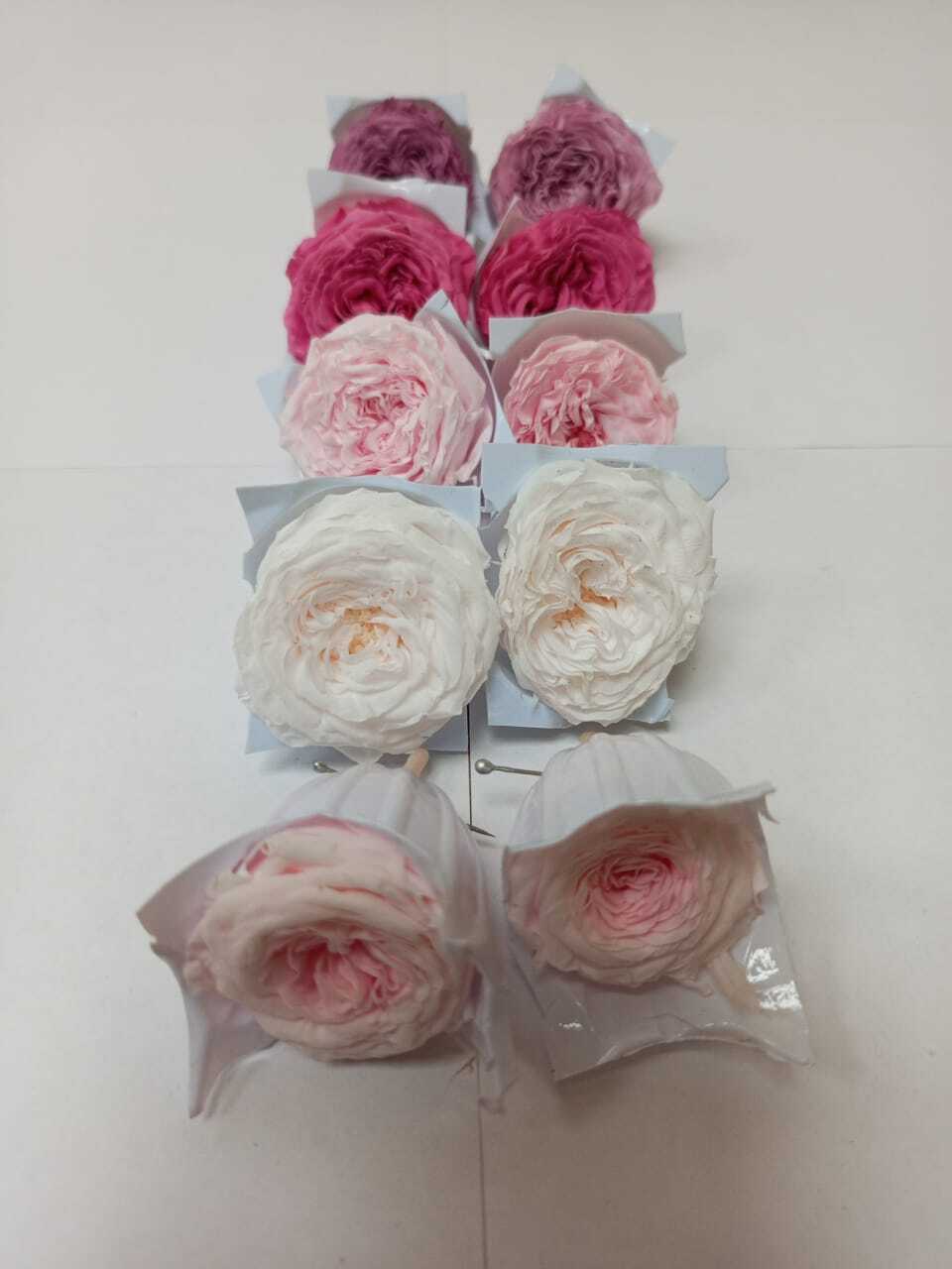 Роза пионовидная 2-3 см Набор микс 21 (10шт)