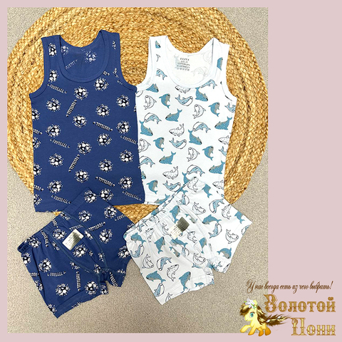 Комплект хлопок м (3-8) 251205-Y5089