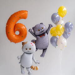 Сет гелиевых шаров Кот Басик и его подружка