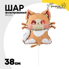 
          Шар Фольгированный Котик усатый (Оранжевый)