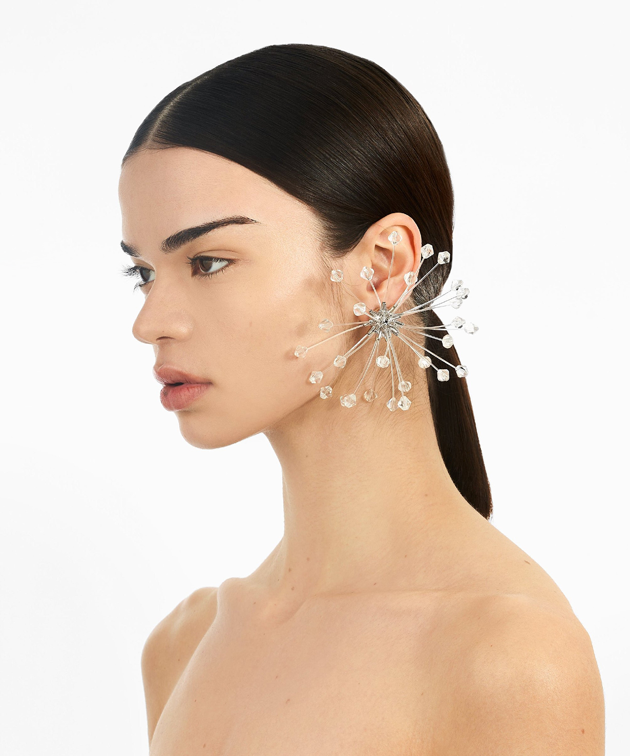 Предзаказ Серьги Crystal Ball