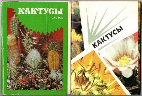 2 набора открыток - 42 штук - Тема цветы, растения - Кактусы - СССР
