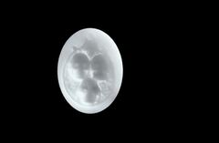 Силиконовый молд Подвеска с черепами