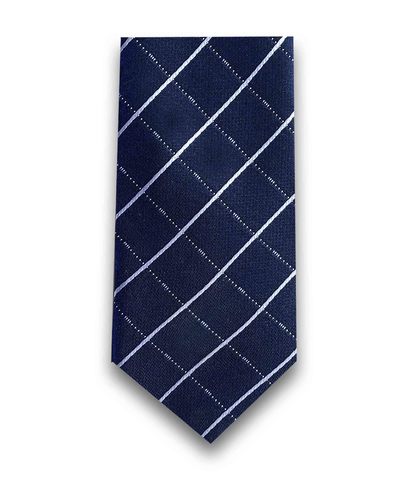 Синий галстук в клетку на кулиске TSAREVICH