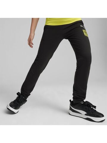 Штаны Puma Active Sports Pants Tr B