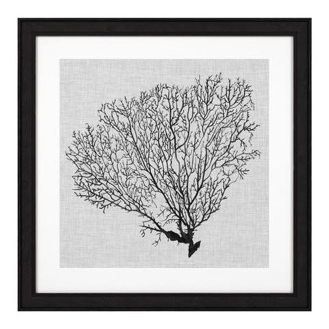 Постер Eichholtz 112752 Shadow Sea Fans