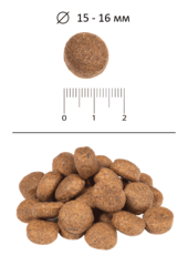 Blitz Adult Large Giant Breeds сухой корм для взрослых собак крупных и гиганских пород 2 кг