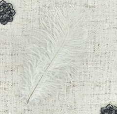 Перо, р. 22х12 см.