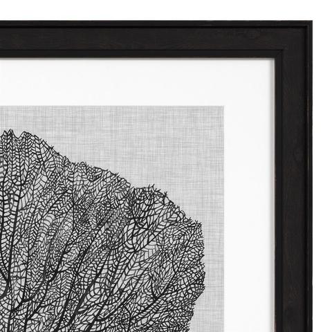 Постеры Eichholtz 112752 Shadow Sea Fans (4 шт.)