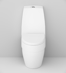 Унитаз-компакт с сиденьем микролифт AM.PM BLISS L - C538607SC
