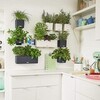 Комплект "Green Wall Home Kit Color" серый, с системой автополива (Lechuza)