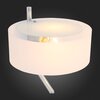 Настольная лампа ST Luce Foresta SL483.504.01