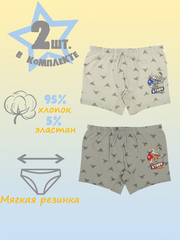 Боксеры для мальчика (2 штуки в упаковке)