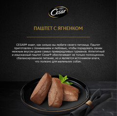 Cesar пауч для собак паштет (ягненок) 80г
