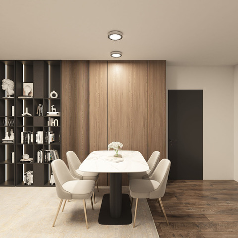 Потолочный светодиодный светильник Denkirs Dual DK2841-WB