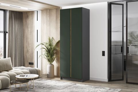 Келвин Шкаф 2-х ств. (800) (Изумрудный, Графит)