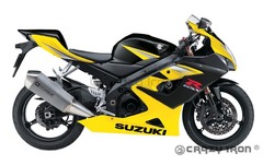 Защитные cлайдеры для SUZUKI GSX-R1000 2005 - 2006 г.в.