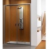 Дверь душевая в нишу раздвижная 141,5х190 см Radaway Premium Plus Dwd 33353-01-01N