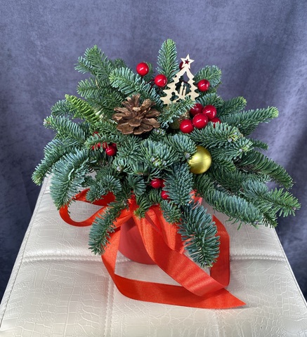 Композиция с нобилисом