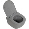 BelBagno BB062CHR-GR/BB062SC-GR Унитаз подвесной безободковый BelBagno COLORATO BB062CHR-GR/BB062SC-GR