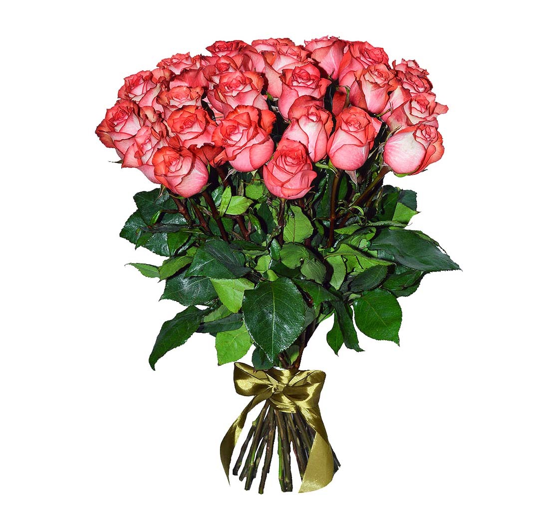 Голландские розы букет. Букет розы Эквадор Игуаза 25 шт.