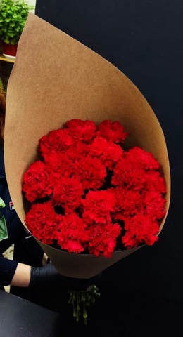 Гвоздика 20шт