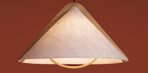 Потолочный светильник Freya Umbra FR5554CL-01T