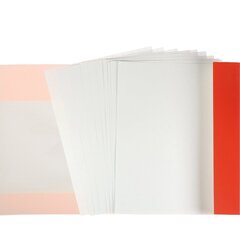 
          Папка для черчения А4 10л., Проф-Пресс, без рамки, цветная обложка, 200г/м2, "Схема стегозавра"