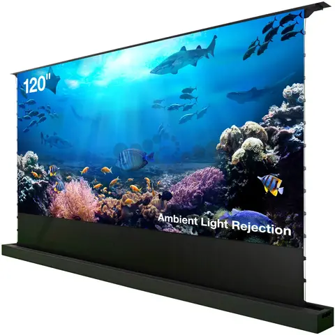Экран Cactus 148x263см FloorRising CS-PSFRALR-263X148 16:9 напольный рулонный черный (моторизованный привод)