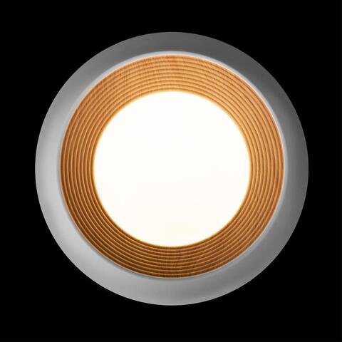 Потолочный светодиодный светильник Loft It Folk 10255/350 White