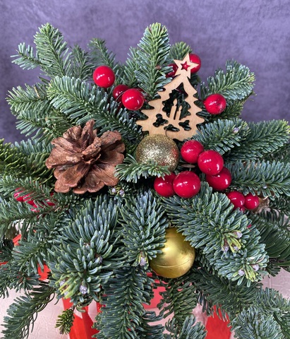 Композиция с нобилисом