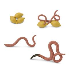 Набор фигурок Жизненный цикл дождевого червя, Safari Ltd.