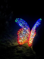 Световая Бабочка