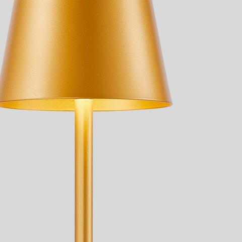 Настольная светодиодная лампа F-Promo Pyari 4616-1T