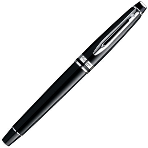 Ручка перьевая Waterman Expert Black CT, F (S0951740)
