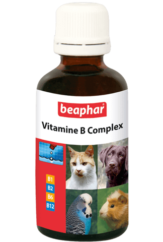 купить бефар Beaphar Vitamine B Complex кормовая добавка для собак и кошек