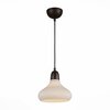 Светильник подвесной ST Luce Genio SL712.883.01