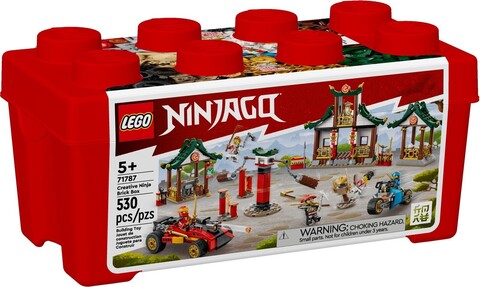 Lego konstruktor Ninjago 71787 Creative Ninja Brick Box