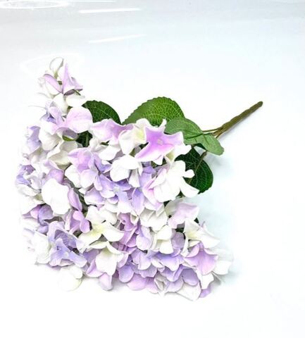 Гортензия Эйя, Бело-фиолетовый, 16*48 см.