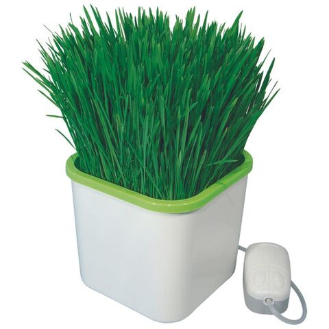 Проращиватель Здоровья Клад белый