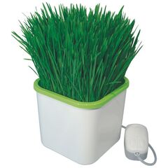 Проращиватель Здоровья Клад белый