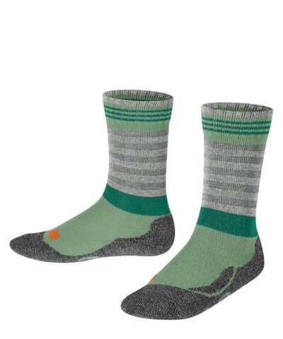 Носки Active Frog FALKE 11943/7016