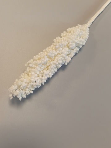 Сорго Белый (размер М)