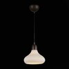 Светильник подвесной ST Luce Genio SL712.883.01