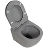 BelBagno BB062CHR-GR/BB062SC-GR Унитаз подвесной безободковый BelBagno COLORATO BB062CHR-GR/BB062SC-GR