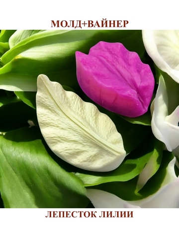 Молд пластиковый+Вайнер силиконовый лепесток лилии волна 12,5х7,2см