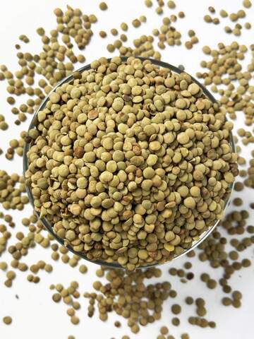 Чечевица Зеленая